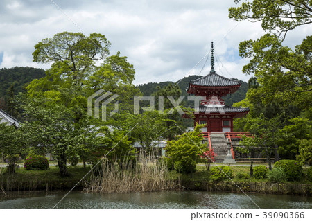 大澤池塘新鮮的綠色 大澤池塘新鮮的綠色 39090366