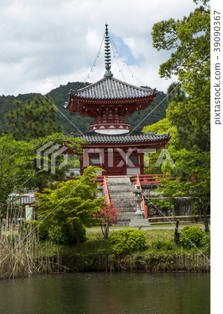 大澤池塘新鮮的綠色 大澤池塘新鮮的綠色 39090367