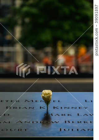 Ground zero mural and rose (white rose) Ground zero mural and rose (white rose) 39091897