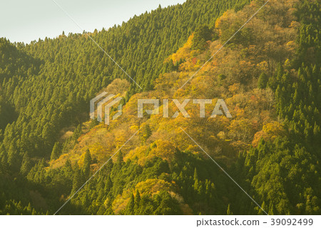 Harima山觀光圖像（兵庫縣） 39092499