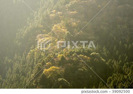 Harima山脈有許多燈（兵庫縣） 39092500