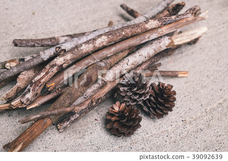 Pine cones and twigs Pine cones and twigs 39092639