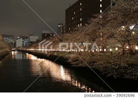 在深川的夜櫻花 39092696