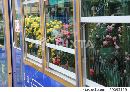 Reflection of Toden Arakawa Line rose 39093119
