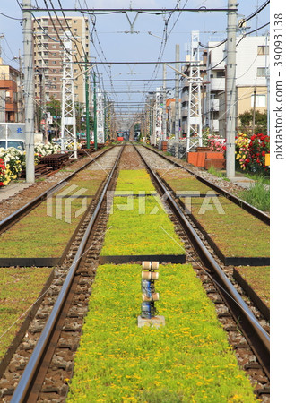 鐵軌花在Toden Arakawa線Arakawa車庫附近的 39093138