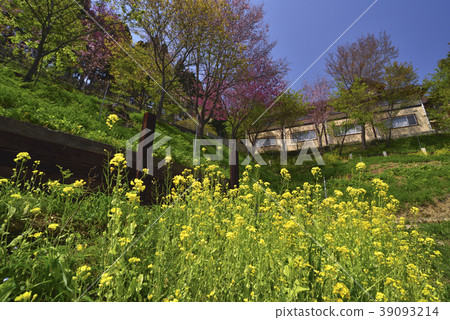 Shei-Pa National Park, Guanwu National Forest Recreation Area, Guanwu, Hsinchu, Wufeng, Chalet Shei-Pa National Park, Guanwu National Forest Recreation Area, Guanwu, Hsinchu, Wufeng, Chalet 39093214