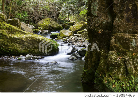 Hachiya Sugaya 39094469