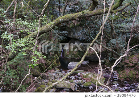 Hachiya Sugaya 39094476