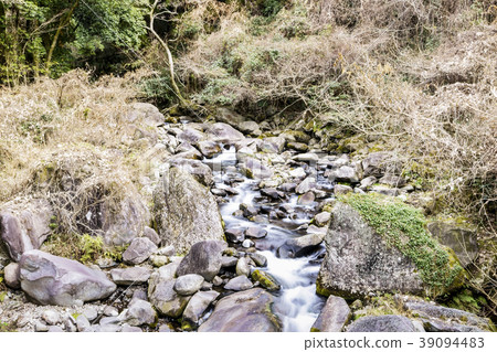 Hachiya Sugaya Hachiya Sugaya 39094483