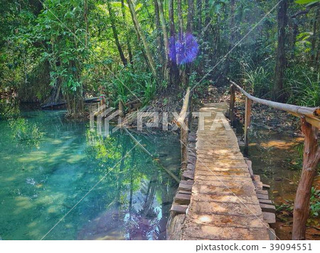 World of Forest 39094551