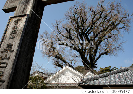 Town of Araki, a town of greenery 39095477