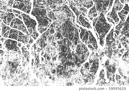 jungle jungle 39095628