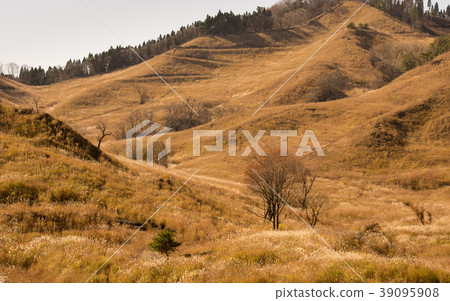 Toho Plateau On a sunny day in autumn (Kanzaki-gun Kamikawa-cho, Hyogo Prefecture) 39095908