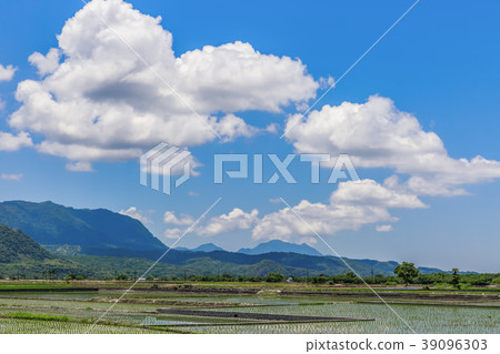 Sanxiantai Taiwan Taitung Blang Avenue Clear blue sky and white clouds Sanxiantai Taiwan Taitung Blang Avenue Clear blue sky and white clouds 39096303
