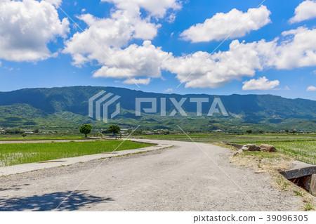 Sanxiantai Taiwan Taitung Blang Avenue Clear blue sky and white clouds 39096305