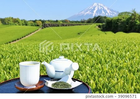 靜岡縣初夏茶園和新茶和富士山 39096571