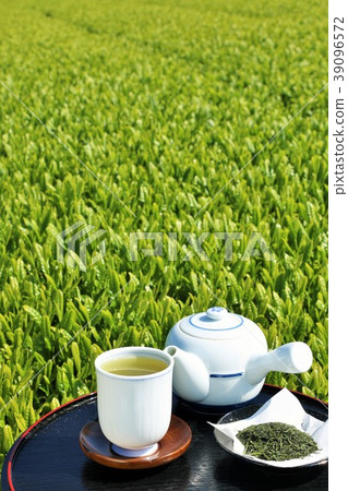 Early summer tea plantations and new tea 39096572