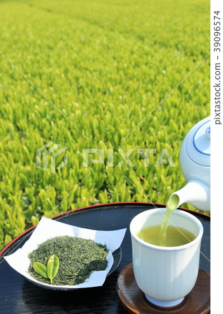 初夏的茶園和新鮮的新茶 初夏的茶園和新鮮的新茶 39096574