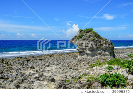 Little Ryukyu Ryukyu Island Mouse Stone Thick Stone Skirt Reef Taiwan Liuqiu Mouse Rock Taiwan 39096875