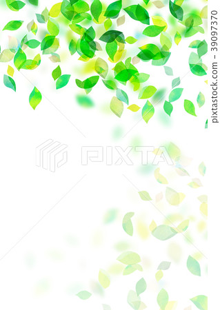Leaky Leaf Texture Background Material Leaky Leaf Texture Background Material 39097370