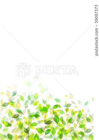 Leaky Leaf Texture Background Material Leaky Leaf Texture Background Material 39097373