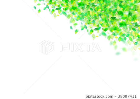 Leaky Leaf Texture Background Material Leaky Leaf Texture Background Material 39097411