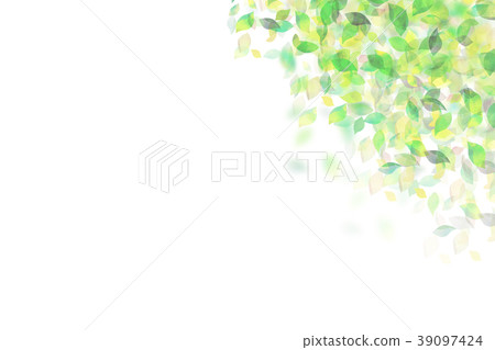 Leaky Leaf Texture Background Material Leaky Leaf Texture Background Material 39097424