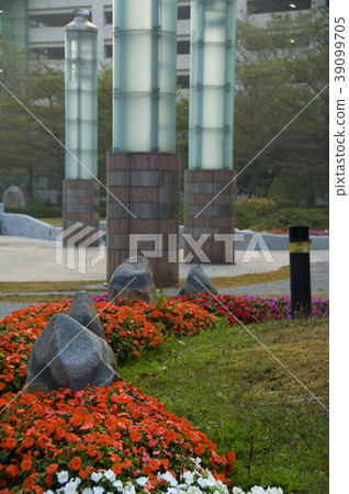 花園,公園,亞洲,台灣,臺灣,高雄市,清靜,和平,草,花 花園,公園,亞洲,台灣,臺灣,高雄市,清靜,和平,草,花 39099705