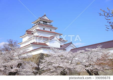 Tsuruga Castle Sakura Aizu Wakamatsu City 39099878