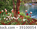 beautiful landscape with flowers and Lake Geneva 39100054