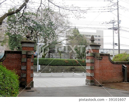 熊本大學春天Akamon 熊本大學春天Akamon 39101607