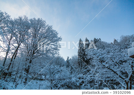 早晨的雪景(長島町) 早晨的雪景(長島町) 39102096