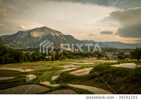 Mt. Buko反映在梯田的晚上(埼玉縣秩父郡Yokose鎮) Mt. Buko反映在梯田的晚上(埼玉縣秩父郡Yokose鎮) 39102101