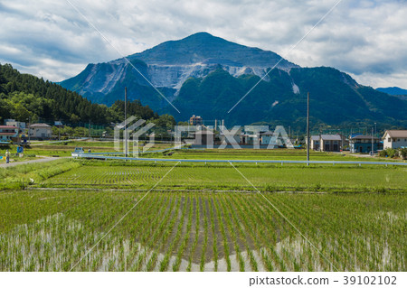 種植水稻後立即稻田（埼玉縣秩父郡橫須鎮） 39102102