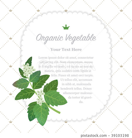 Colorful watercolor nature organic vegetable memo 39103198