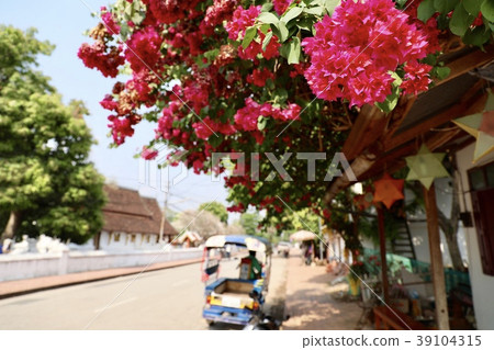 Laos · Luang Prabang Laos · Luang Prabang 39104315