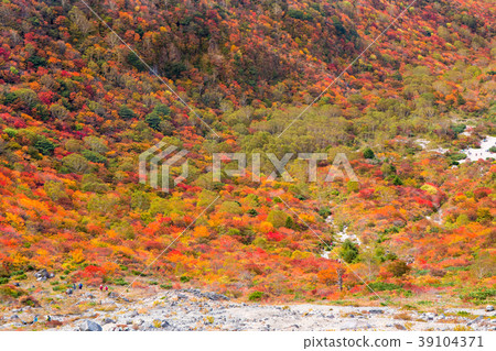 Takeshi Nasu Takegahira明亮的秋葉 Takeshi Nasu Takegahira明亮的秋葉 39104371