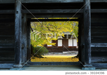 Temple Autumn leaves 39104396