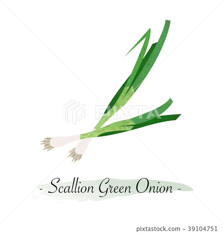 Colorful watercolor vector healthy vegetable 39104751