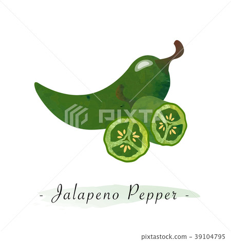 Colorful watercolor vector healthy vegetable 39104795