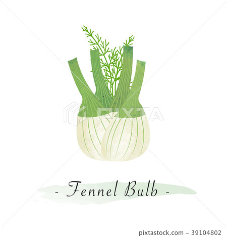 Colorful watercolor vector healthy vegetable 39104802