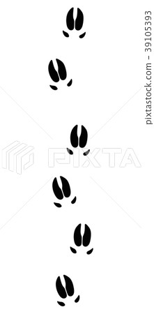 Wild Boar Tracks Black Footprints 39105393