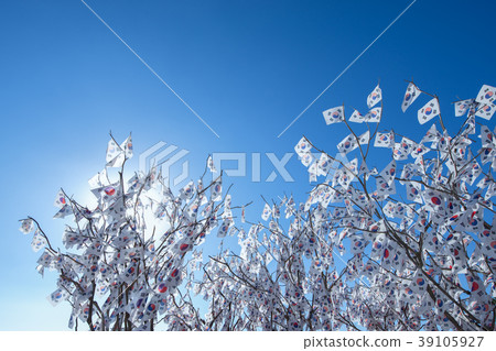 Taegukgi tree 39105927