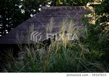 Roof and Susuki 39107633
