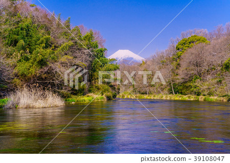 <靜岡縣>秋田河春季和富士山等待春季 39108047