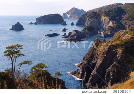 [Izu, tourist attraction] Ai Ii (Ehime) 39108164