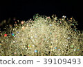 Crystal night Hikari glitter 39109493