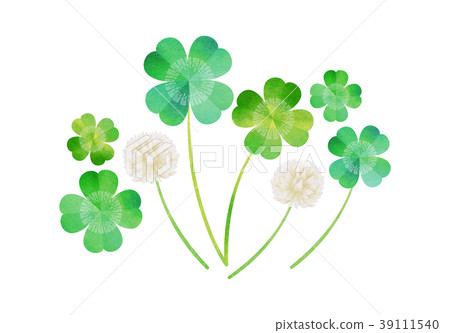 Clover  39111540
