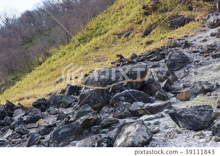 日本栃木縣那須町 39111843