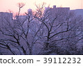 Kochi city with snow scene 39112232